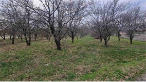 terrain a batir à la vente -   26260  MARGES, surface 0 m2 vente terrain a batir - UBI448990100
